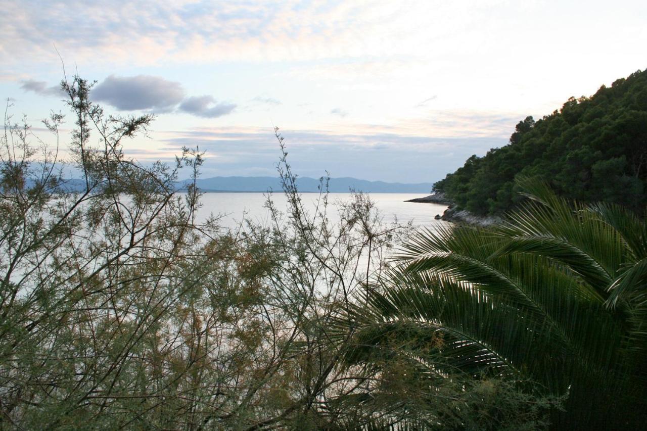 Seaside Secluded Apartments Cove Smokvina, Hvar - 4036 Bogomolje Dış mekan fotoğraf